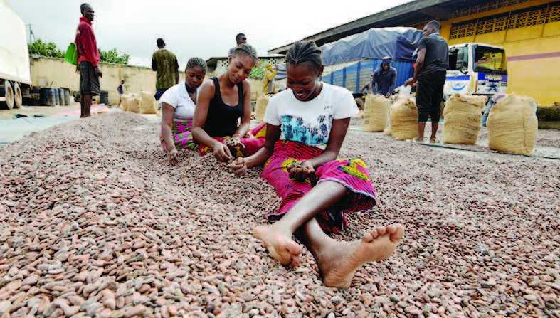 Ghana Ancam Hentikan Ekspor Kakao Mentah ke Swiss