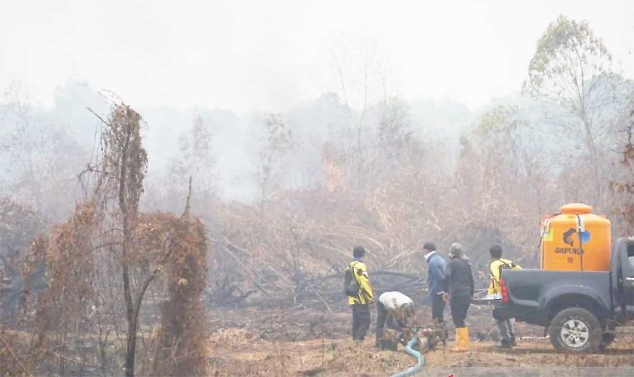 Gubernur Kalsel Apresiasi Pemerintah Pusat Bantu Penanganan Karhutla