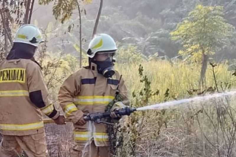 Gulkarmat kerahkan personel padamkan kebakaran di Kepulauan Seribu