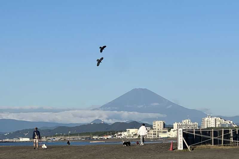 Gunung Fuji Masih Tak Bersalju Hingga Awal November