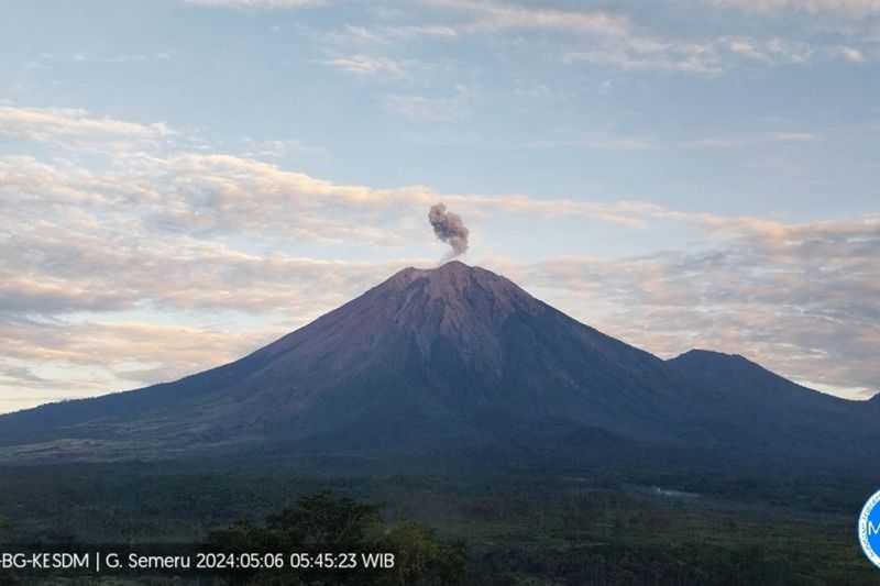 Gunung Semeru Erupsi Lagi Disertai Letusan Abu Vulkanik