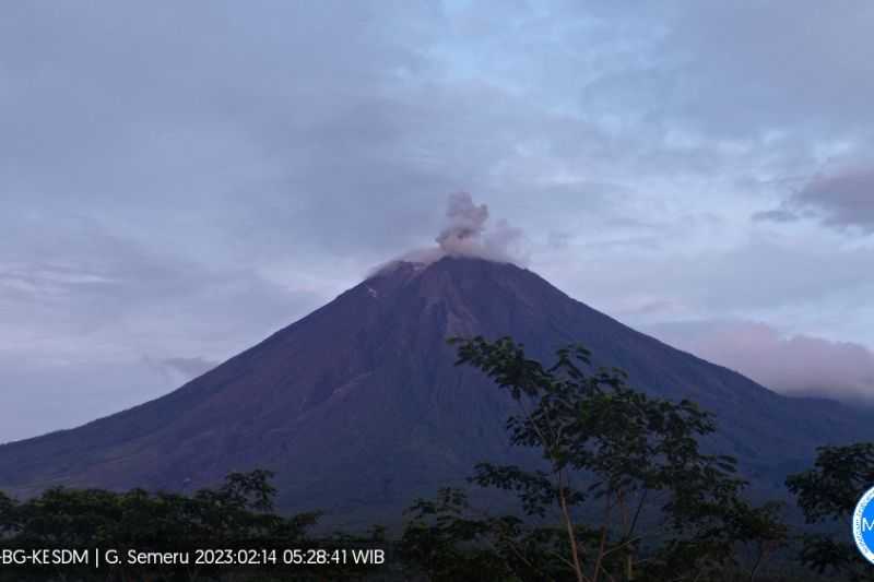 Gunung Semeru Kembali Erupsi dengan Tinggi Semburan Capai 800 Meter