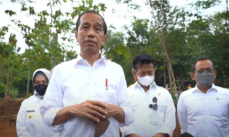 Heboh! Kala Jokowi Tolak Usulan Luhut Soal TNI Aktif Masuk Kementerian