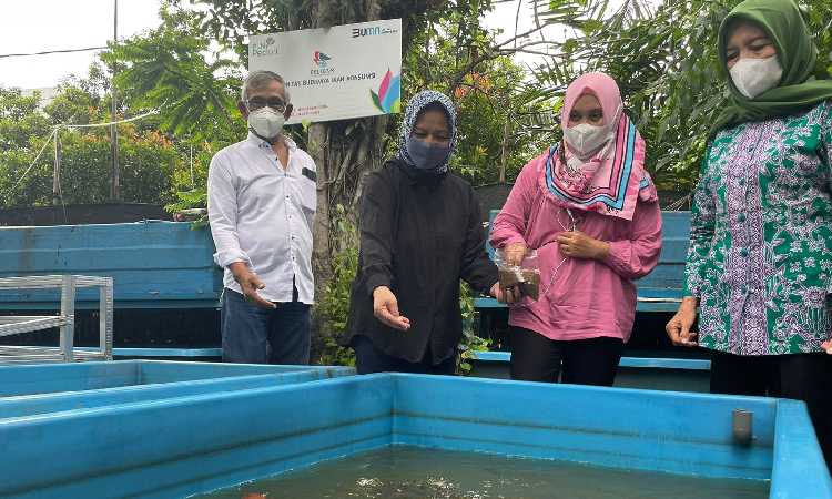 Ikan Lele Bergizi Tinggi Jadi Produk Unggulan Komunitas Pelikan