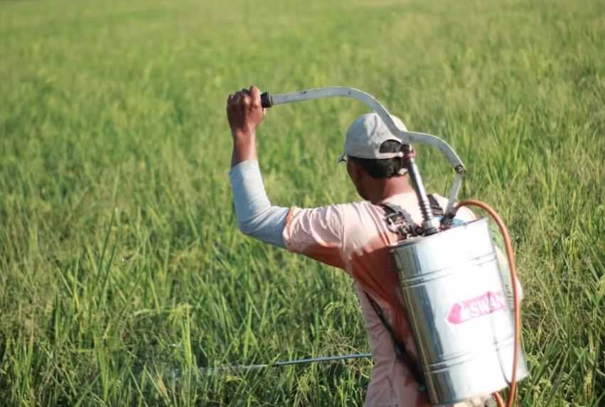 Indonesia Pengguna Pestisida Terbesar ke-3 Dunia, Riset Soal Dampaknya Masih Minim