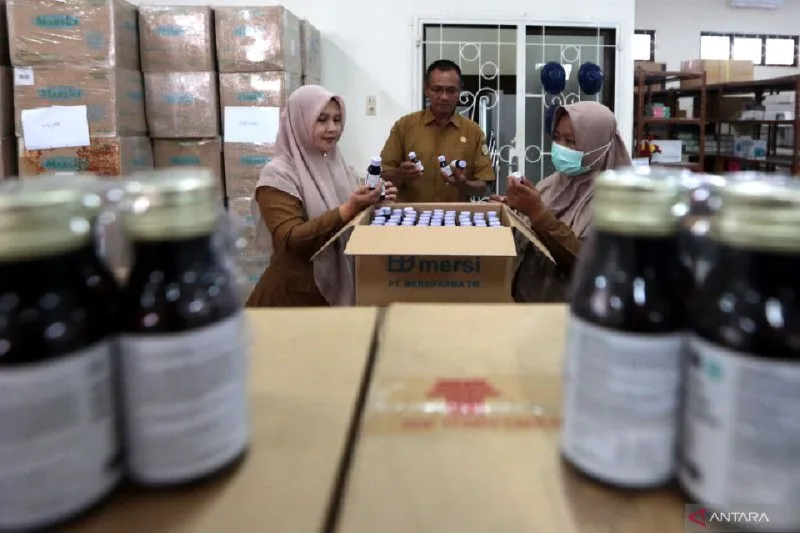 Inilah 12 Obat Kritikal Yang Boleh Diresepkan untuk Gangguan Ginjal Akut Progresif