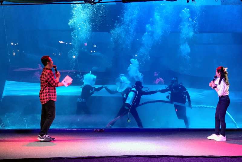 Jakarta Aquarium Safari Gelar Peringatan Hari Kemerdekaan Di Bawah Air 1