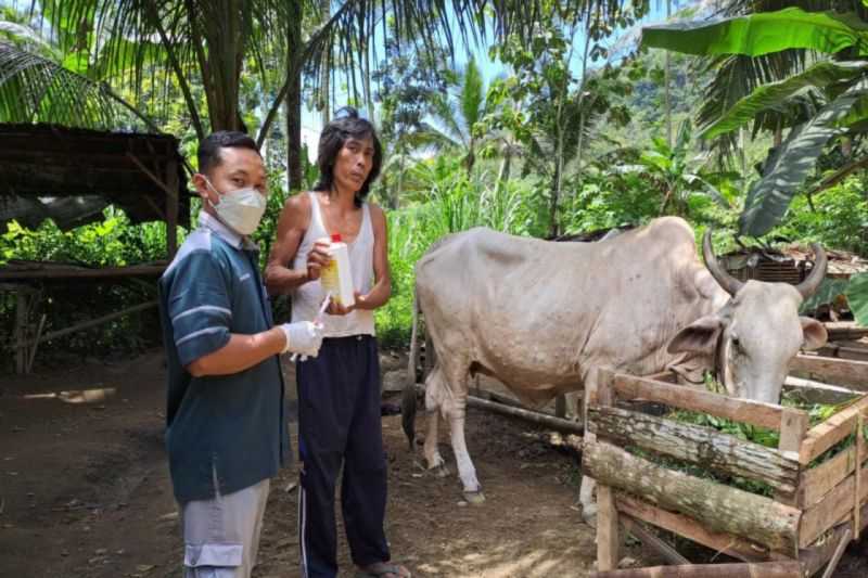 Jelang Idul Adha, Dinas Peternakan Gunungkidul Intensifkan Pengawasan Hewan Ternak