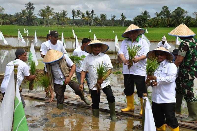 Kepala Staf Kepresidenan Ajak Petani Terus Berinovasi