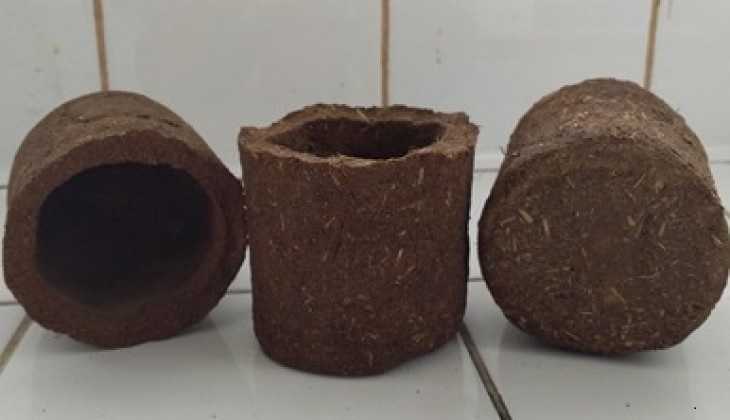 Keren, Mahasiswa UGM Membuat Pot Ramah Lingkungan dari Kulit Durian dan Rumput Gajah