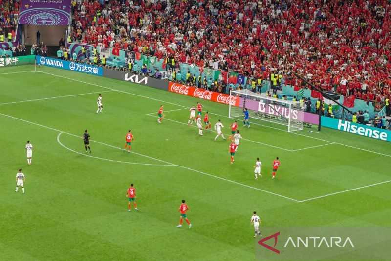 Kerja Keras Para Pemain, Pelatih Maroko Tidak Anggap Kemenangan Lawan Portugal Sebuah Keajaiban