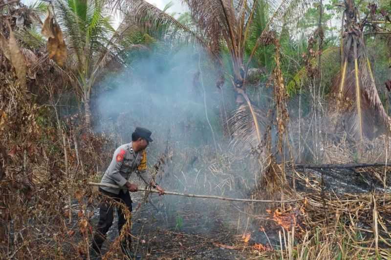 Kerja Keras, Personel Polres Kabupaten Tanimbar Bantu Padamkan Kebakaran Hutan
