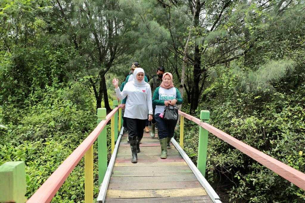 Khofifah Ajak Nikmati Wisata Mangrove di Pulau Endapan Lumpur Sidoarjo