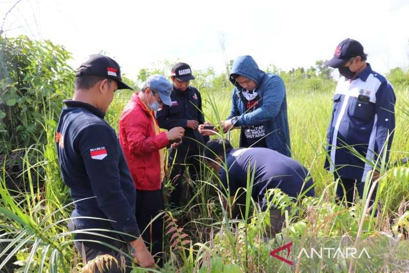 KLHK Menangkan Gugatan Perkara Karhutla di Barito Kuala