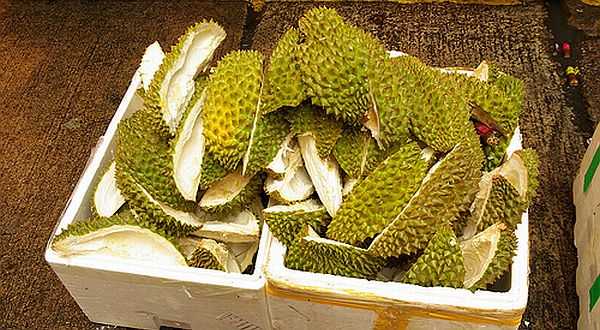 Kreatif, Pot Tanaman dari Limbah Kulit Durian