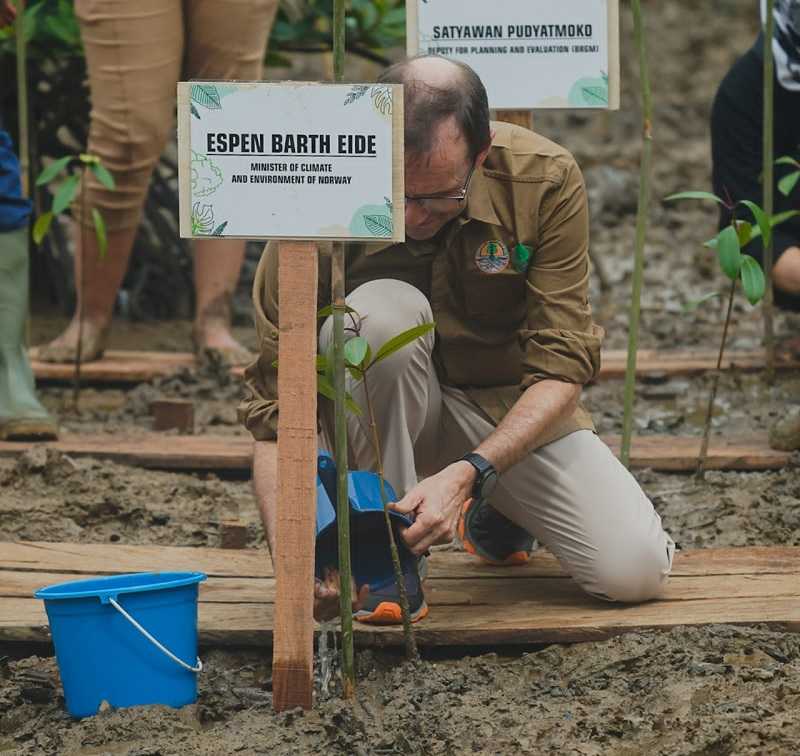 Kuatkan Kerja Sama, Siti Nurbaya Ajak Menteri Iklim dan LH Norwegia ke Tempat Rehabilitasi Mangrove