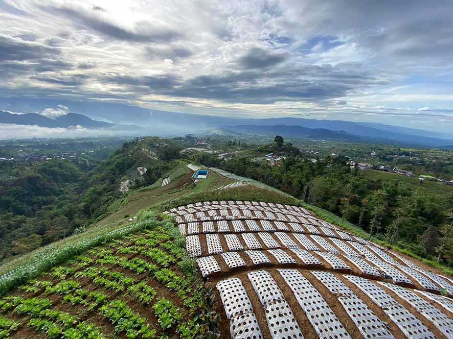 Kunjungi Keunikan Terasering Sayur Mayur di Kaki Sumbing