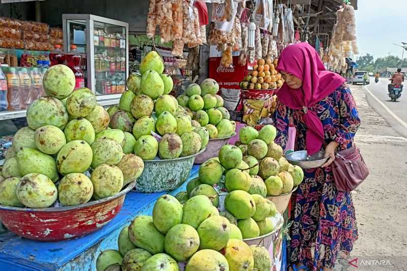 Luar Biasa! Lebaran Tahun Ini Untung Besar buat Penjual Mangga di Indramayu, Sehari Bisa Raup Rp10 Juta