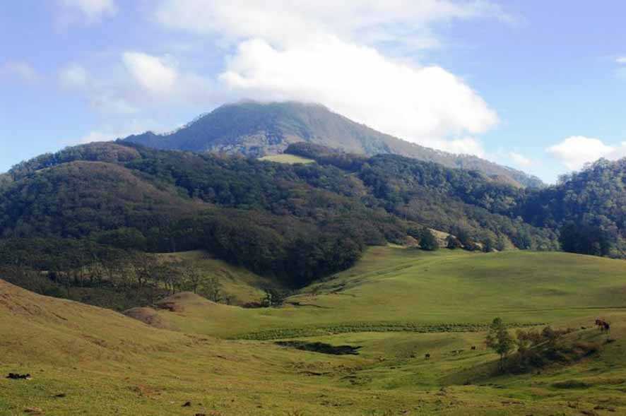 Memandang Fauna di Padang Rumput Lelofui