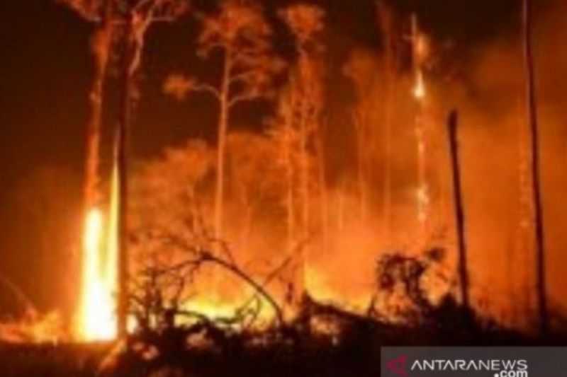 Mengagetkan Berita Buruk Ini, BMKG Keluarkan Peringatan Dini Kebakaran Hutan dan Lahan