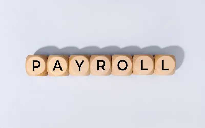 Mengapa Perusahaan Baik Besar Maupun Kecil Perlu Menggunakan Payroll Software?