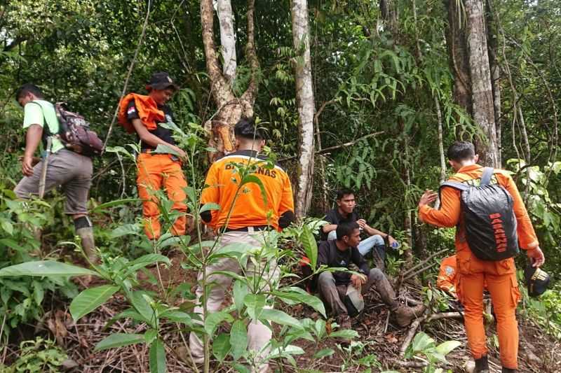 Mengenaskan!, Kakek Tua Itu Hilang di  Kebun Kayu Manis dan Belum Juga Ditemukan