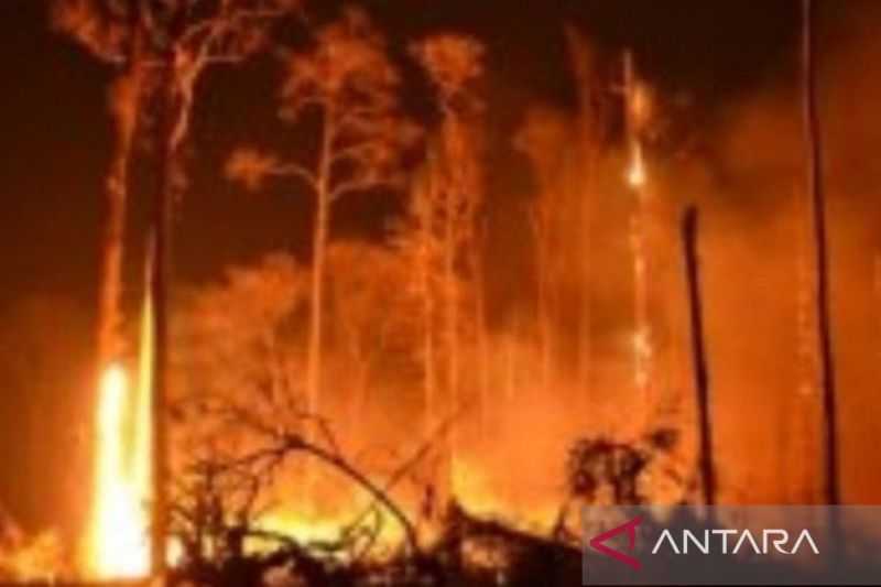 Mengerikan, Kebakaran Hutan Membuat Ribuan Warga Dievakuasi di Tenerife, Spanyol