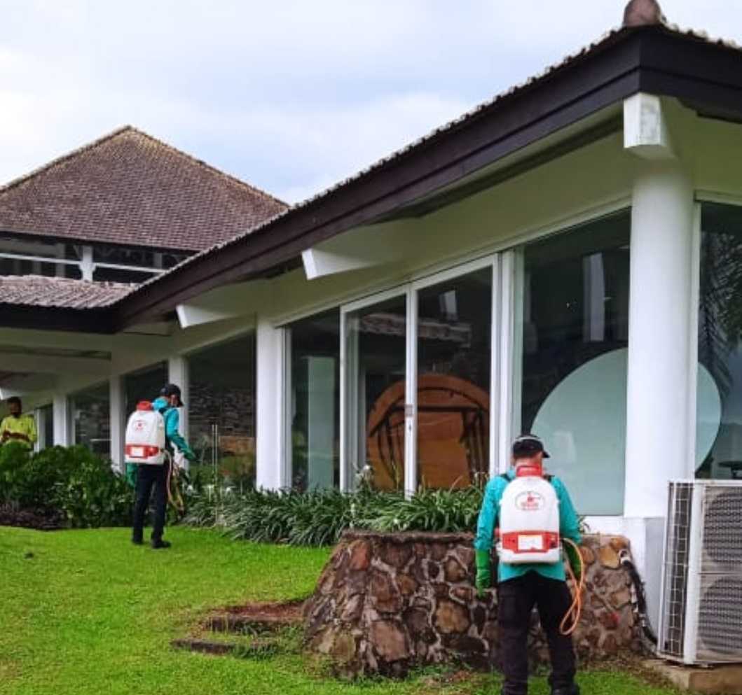 Menjaga Rumah dari Rayap Kayu di Musim Hujan