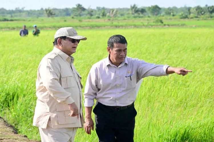 Mentan Berikan Pendampingan ke Petani dan Penerapan Mekanisasi di Merauke