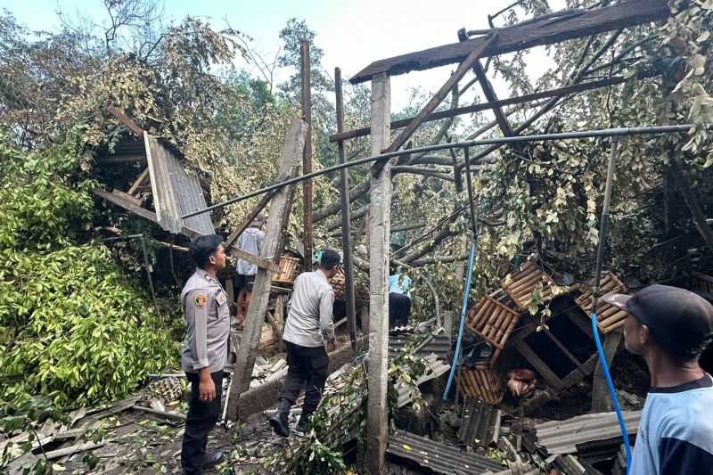 Nahas, Seorang Warga di Blitar Tewas Tertimpa Reruntuhan Kandang Ayam Akibat Pohon Tumbang