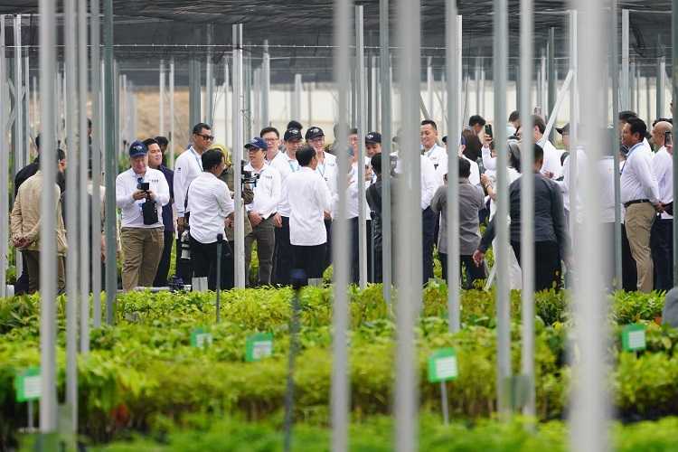 Pemerintah Berupaya Membangun Kawasan IKN sebagai 'Forest City'