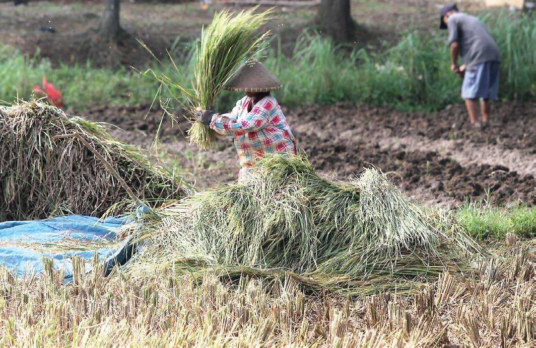 Pemerintah Harus Bisa Atasi Impor dengan Produk Dalam Negeri