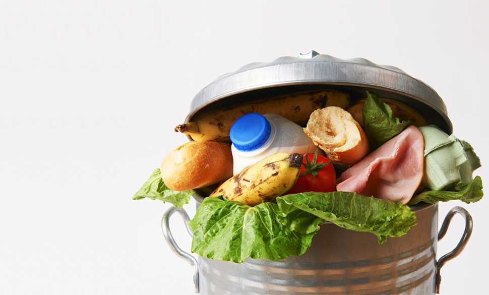 Pemerintah Perlu Atasi Food Waste