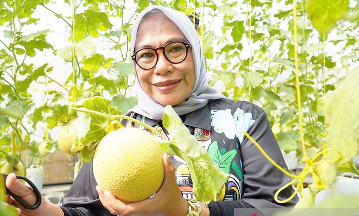 Pemkot Bogor Dukung Pengembangan Agro Eduwisata Kebun Melon Cimahpar