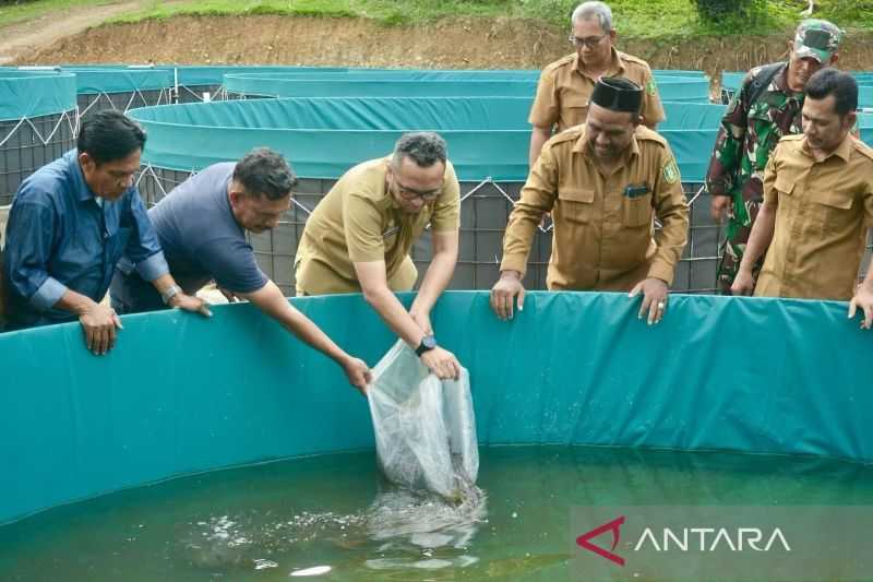 Pemkot dan Gapoktan di Sabang Budidaya Lele untuk Ketahanan Pangan