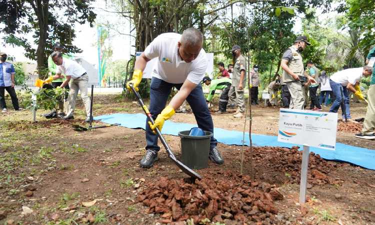 Peringati Hari Menanam Pohon Indonesia 2022, PLN Tanam Seribu Pohon untuk Jakarta 