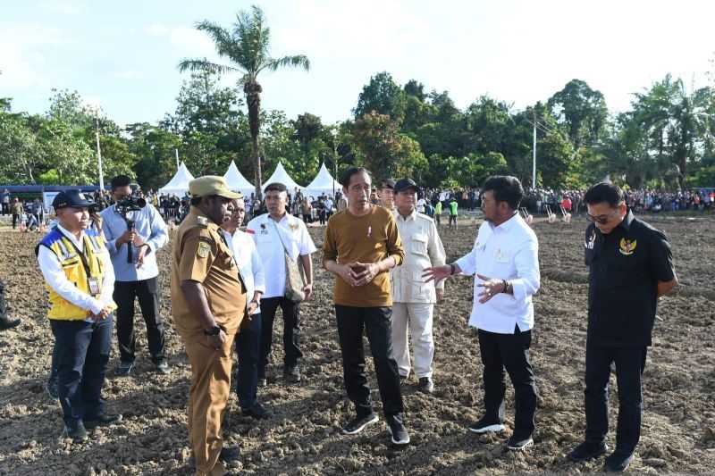 Perkuat Ketahanan Pangan, Presiden Siapkan 10 Ribu Hektare Lahan Jagung di Keerom Papua