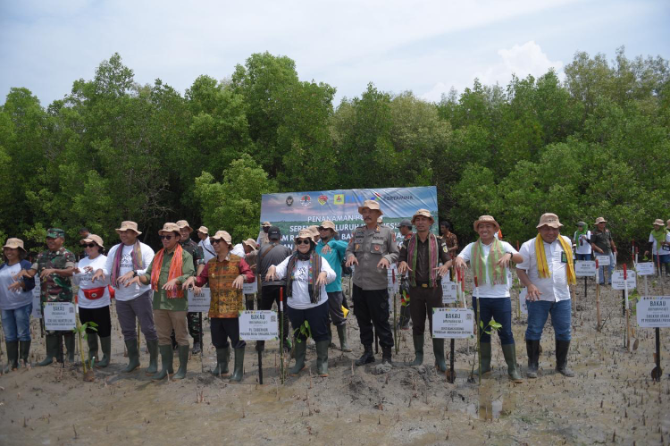 Pertamina Rehabilitasi Mangrove di NTT, Dukung Upaya Mitigasi Perubahan Iklim