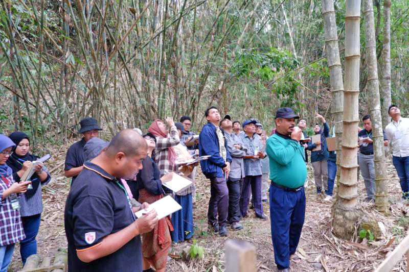 Peserta Tiga Negara Belajar Pengolahan Bambu di Hutan Bambu Bulaksalak