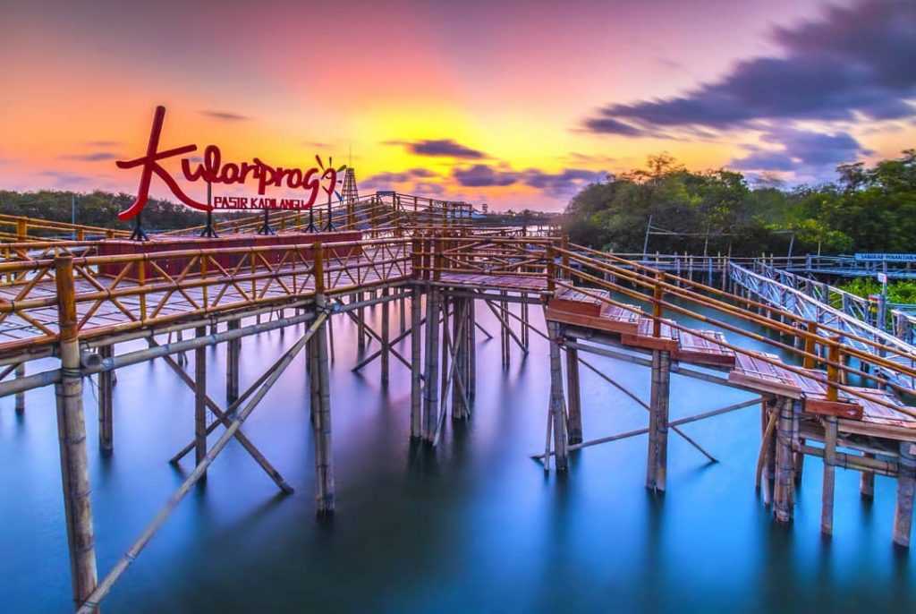 Pesona Hutan Mangrove Kulon Progo