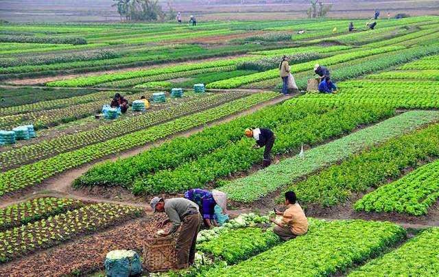 Petani Perlu Bermitra dengan Industri