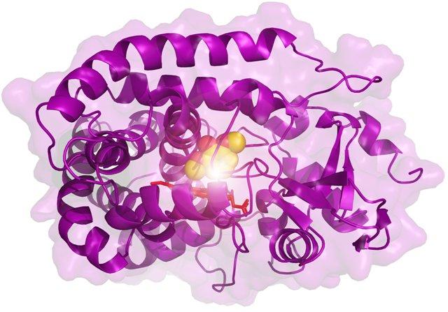 Rekayasa Enzim untuk Pengembangan Bioteknologi