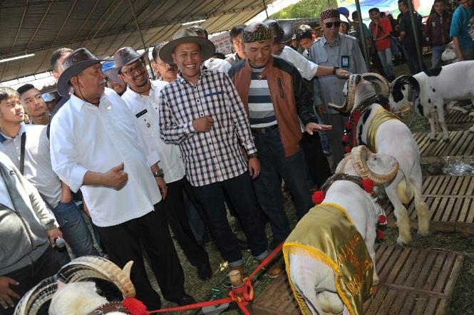 Adu Domba, Budaya Khas dari Kabupaten Garut