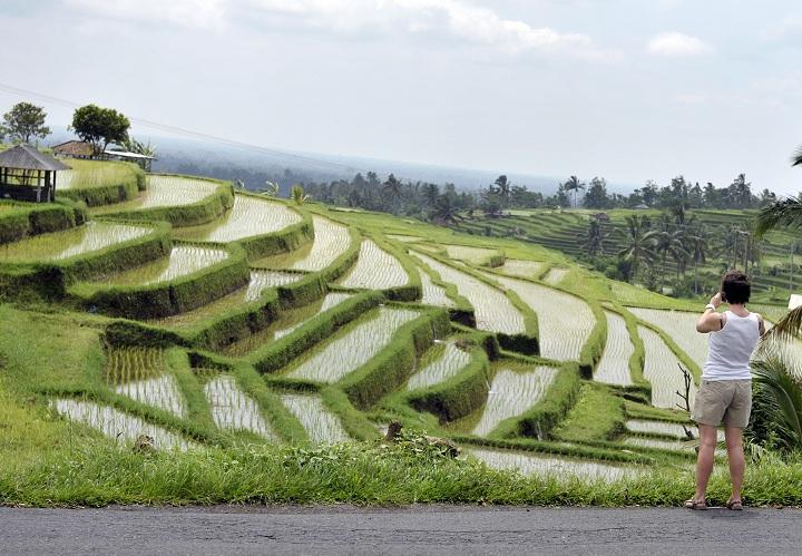 Budaya Subak yang Diakui Dunia