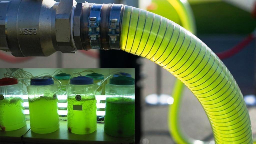 Sistem Biofuel Baru untuk Produksi Hidrogen