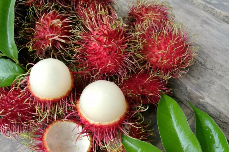 Rambutan 'Buah Super' yang Banyak Manfaat