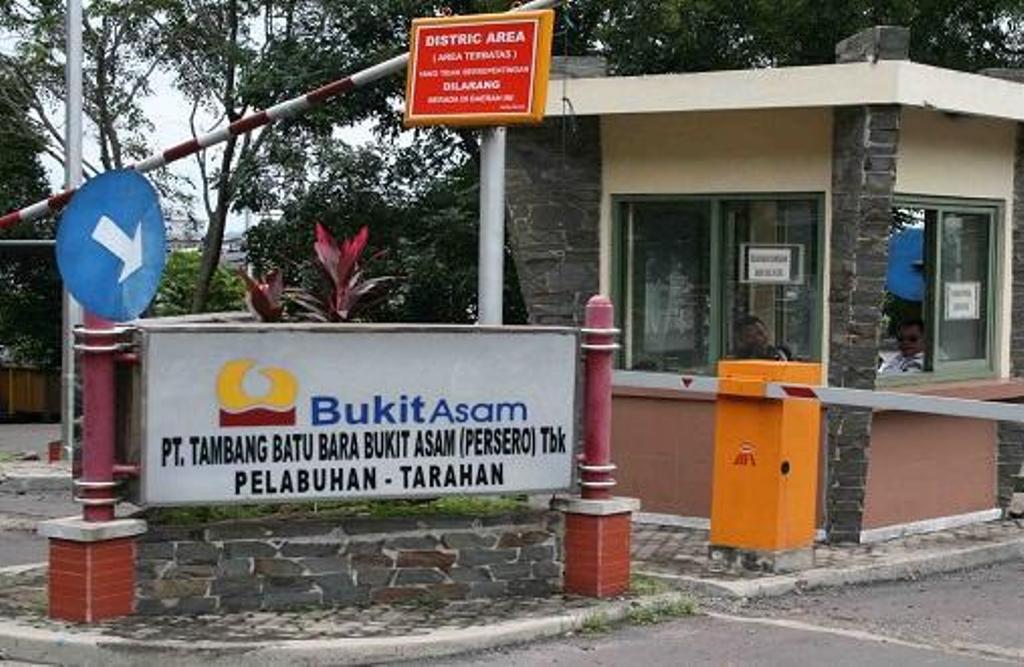 PTBA Fokus Produksi Batu Bara Kalori Tinggi