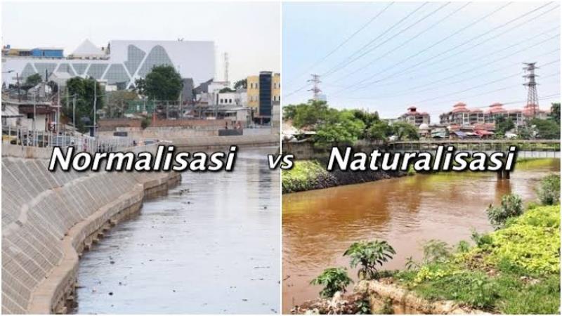 Normalisasi Versus Naturalisasi Aliran Sungai