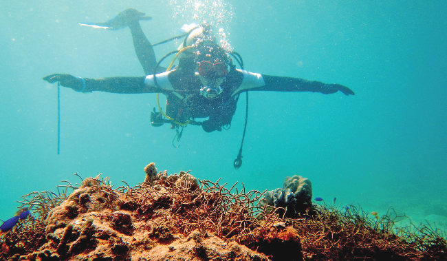 Menyusuri Alam Bawah Laut Lombok