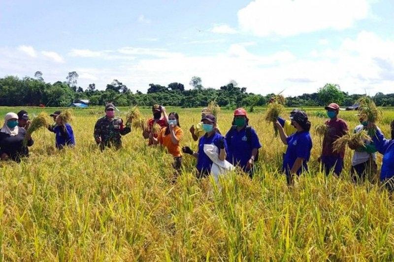 Barito Timur Perkuat Ketahanan Pangan Lewat Program Sambang Petani